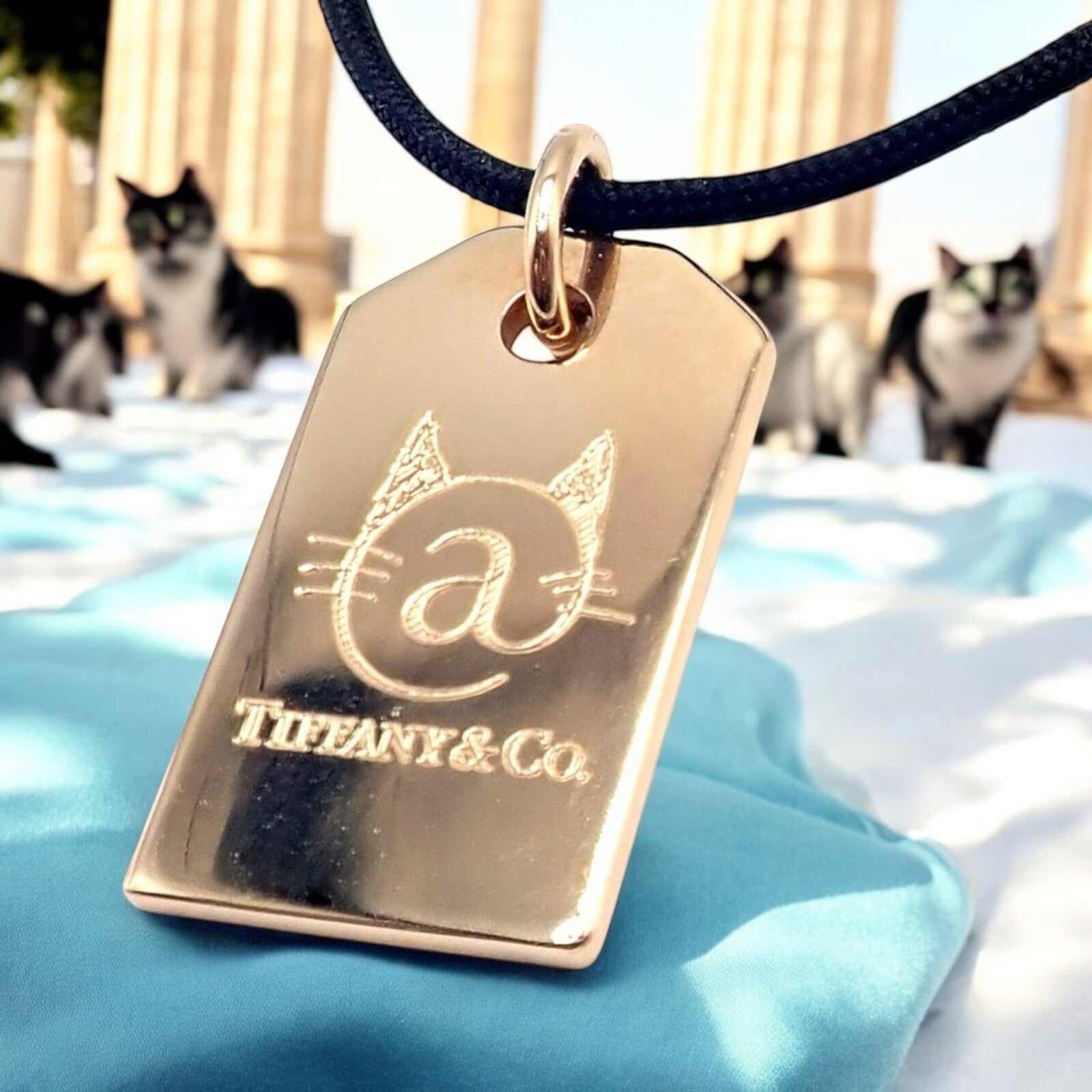 Rare! Tiffany & Co 18k Rose Gold Cat Street Tokyo Harajuku Japan Medium Necklace | Fortrove