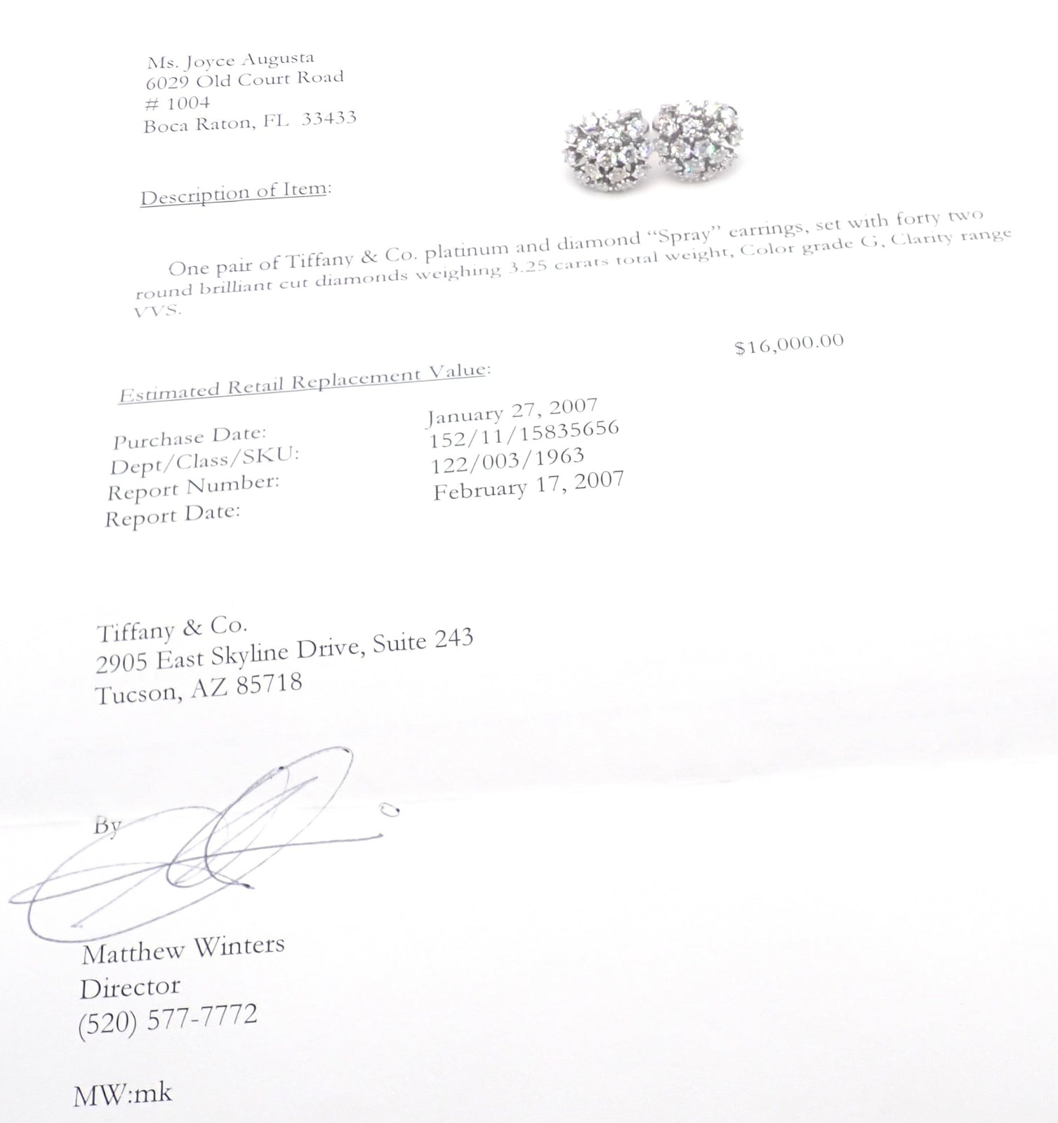 Authentic Tiffany & Co Spray Platinum Diamond Necklace Earrings Set Paper France | Fortrove