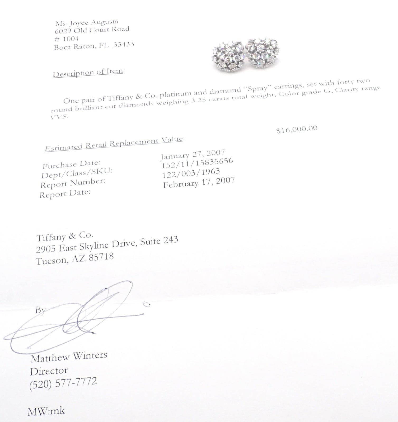 Tiffany & Co. Jewelry & Watches:Fine Jewelry:Jewelry Sets Authentic Tiffany & Co Spray Platinum Diamond Necklace Earrings Set Paper France