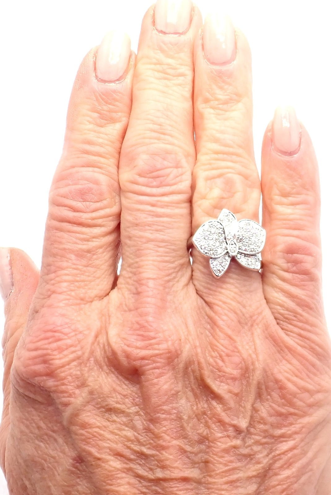 Authentic! Cartier Caresse D'orchidées Orchid Flower 18k White Gold Diamond Ring | Fortrove