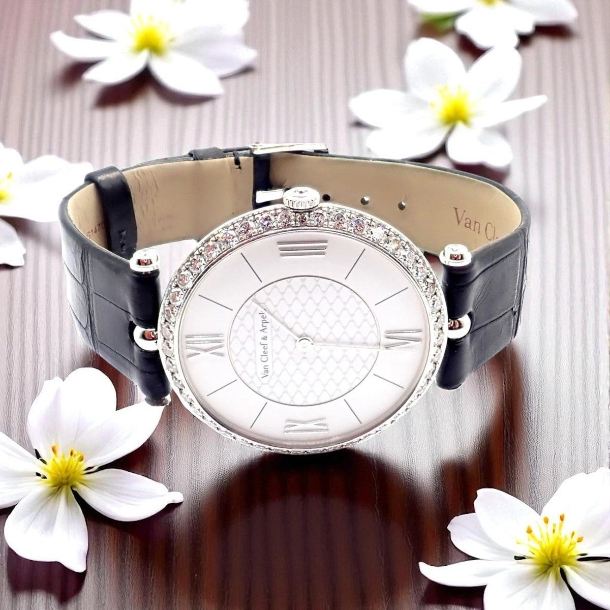 Van Cleef & Arpels Pierre Arpels 18K White Gold Diamond 38mm Watch Cert. Box! | Fortrove